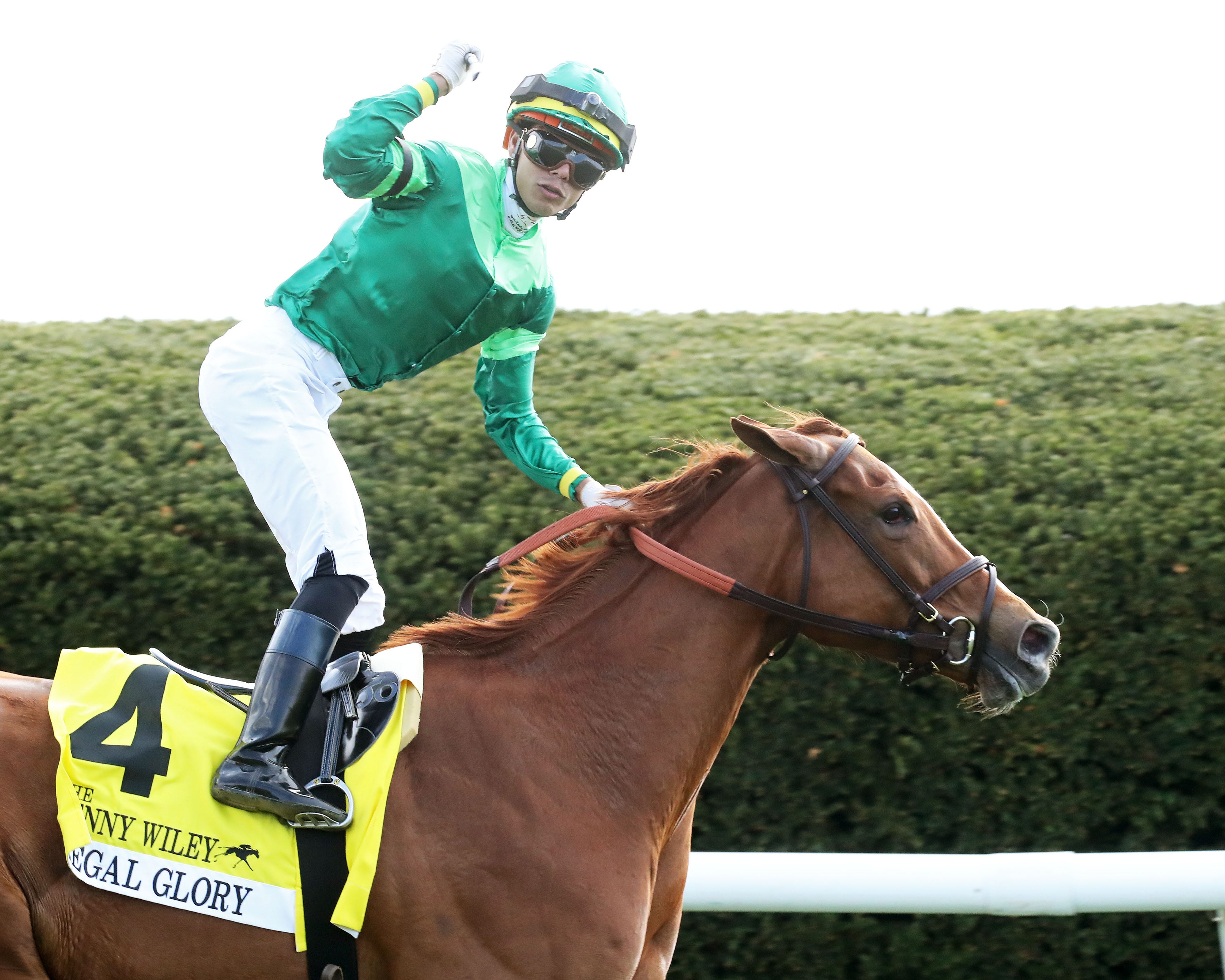 Regal Glory rewards training decision with Jenny Wiley triumph